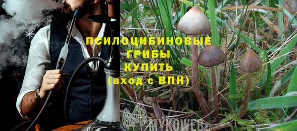 индика Алексин