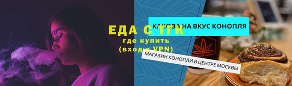 индика Алексин