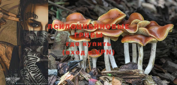 марки lsd Алексеевка