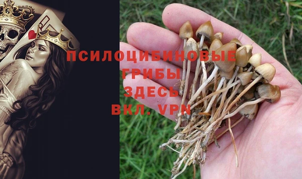 каннабис Абаза