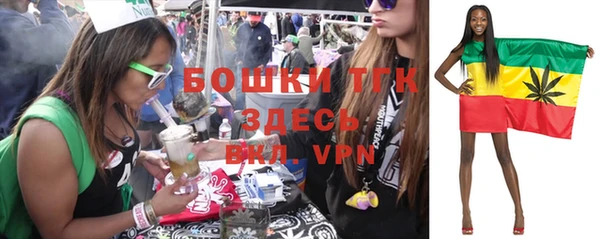 МДМА Каменка