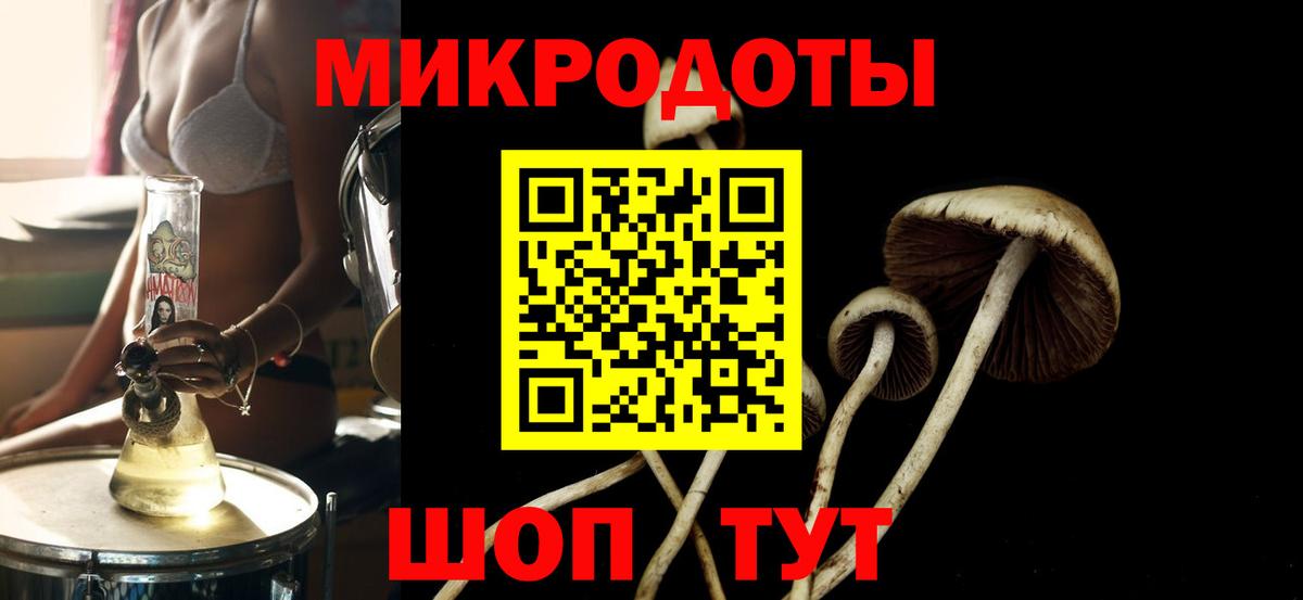 Керчь  Псилоцибиновые грибы Psilocybe  Вход с VPN 